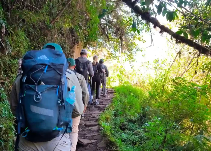 Hikers walking the Short Inca Trail 2 Days through the cloud forest