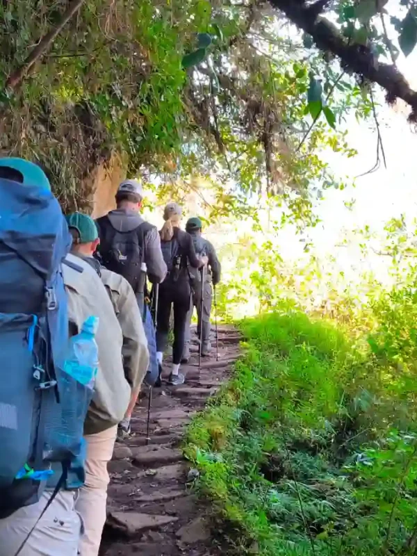 Hikers walking the Short Inca Trail 2 Days through the cloud forest
