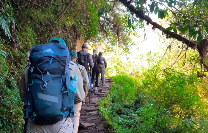 Hikers walking the Short Inca Trail 2 Days through the cloud forest