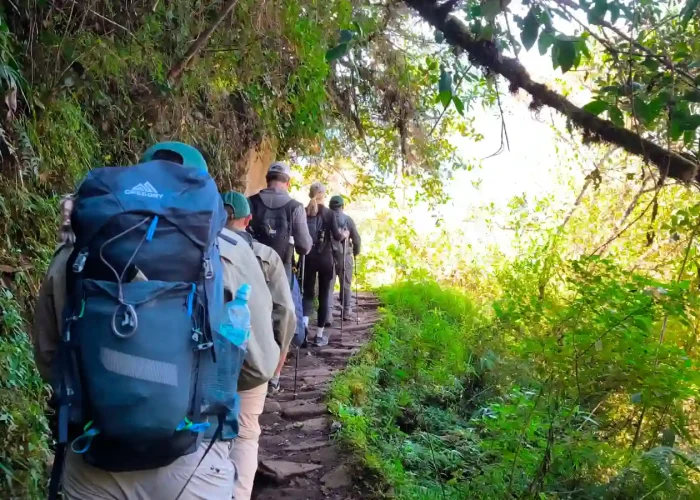 Hikers walking the Short Inca Trail 2 Days through the cloud forest