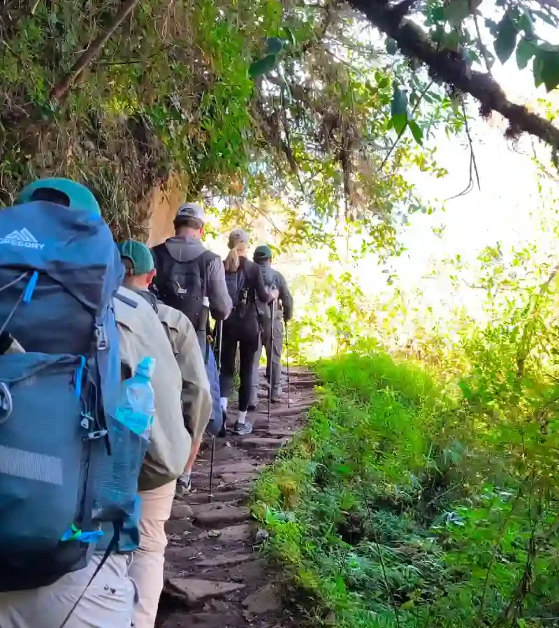 Hikers walking the Short Inca Trail 2 Days through the cloud forest