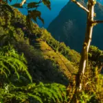 A Land of Ancient Paths