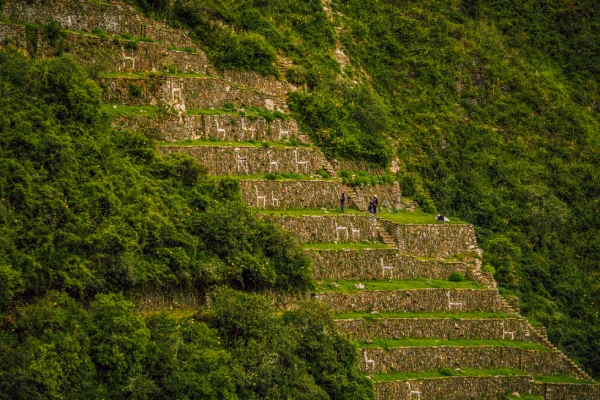 Choquequirao Agricultural Terraces