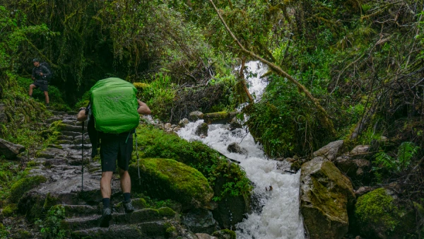 Hiker ascending a stone trail through the lush Andean forest