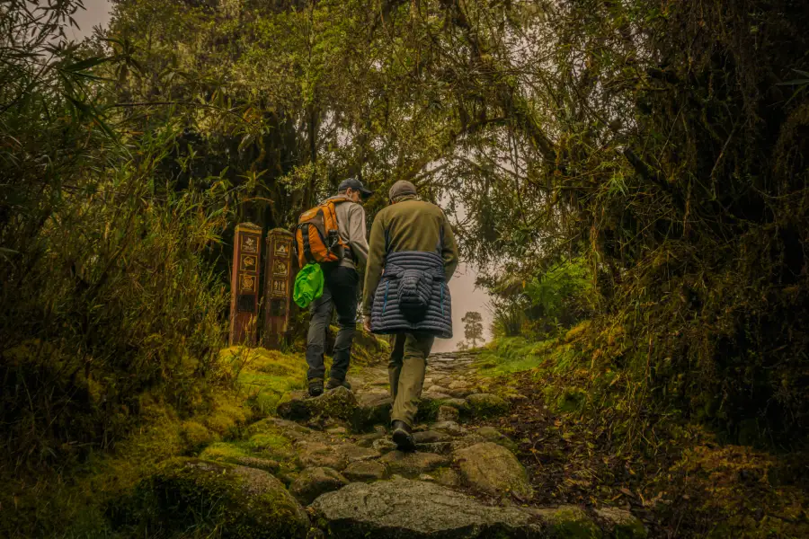 Hikers walking along a stone path through the cloud forest on the Inca Trail