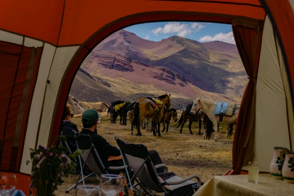 Guests relaxing inside a luxury glamping tent while horses stand in the Andean landscape outside
