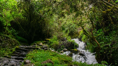 Luxury Inca Trail hikers beginning their journey from Km 82 toward Wayllabamba