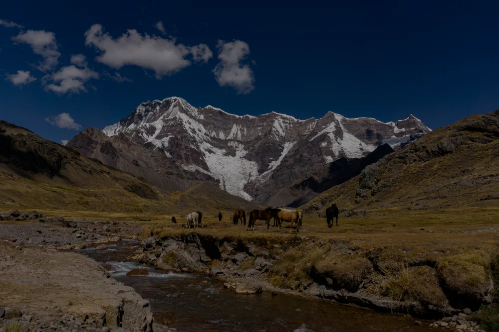 Andean Mountain Landscape with River and Horses Scenic Andean mountain landscape with grazing horses and a flowing river in the Peruvian highlands