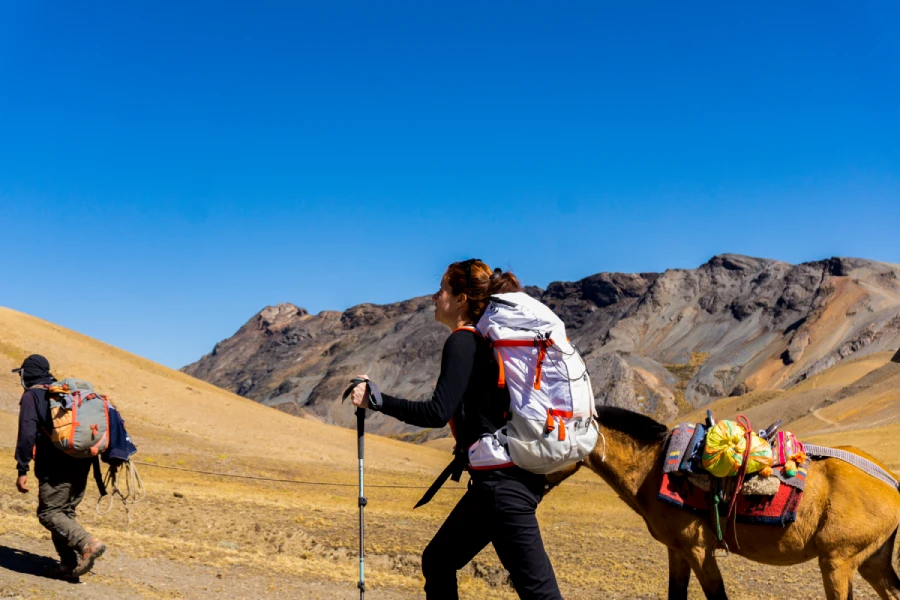 Hiker carrying a backpack and trekking pole beside a pack horse on an Andean mountain trail